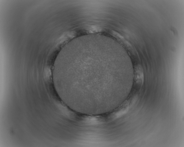 X0000113180523200909181856