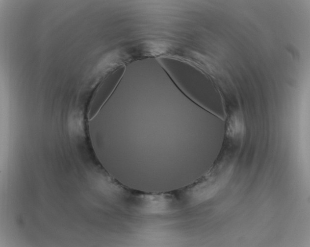 X0000113180524200909181856