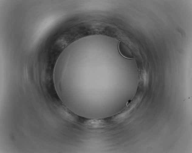 X0000113180526200909181856