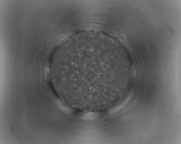 X0000113180527200909181856