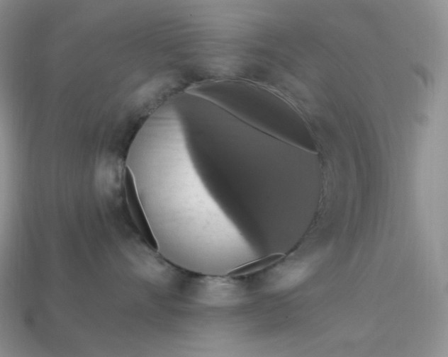 X0000113180528200909181856