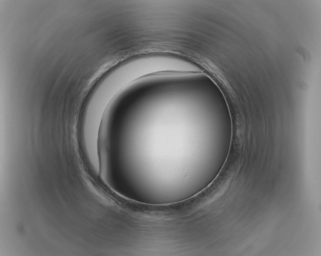 X0000113180530200909181855