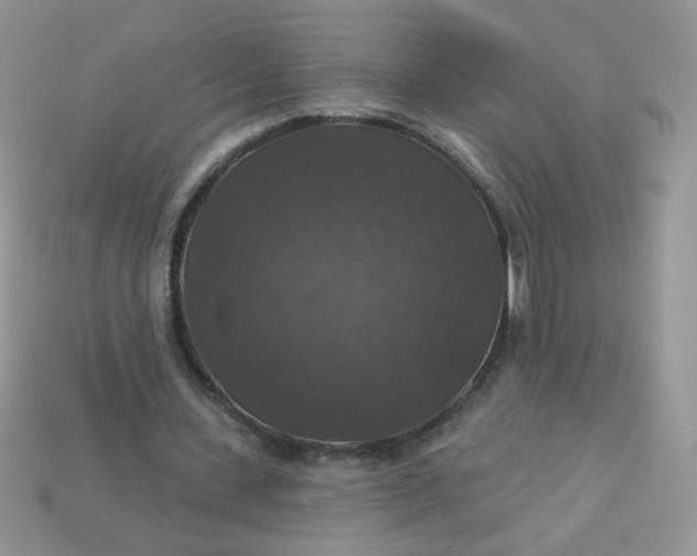 X0000113180531200909181855