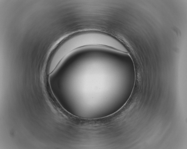 X0000113180532200909181855