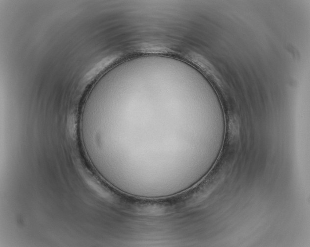 X0000113180533200909181855