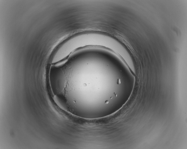 X0000113180534200909181855