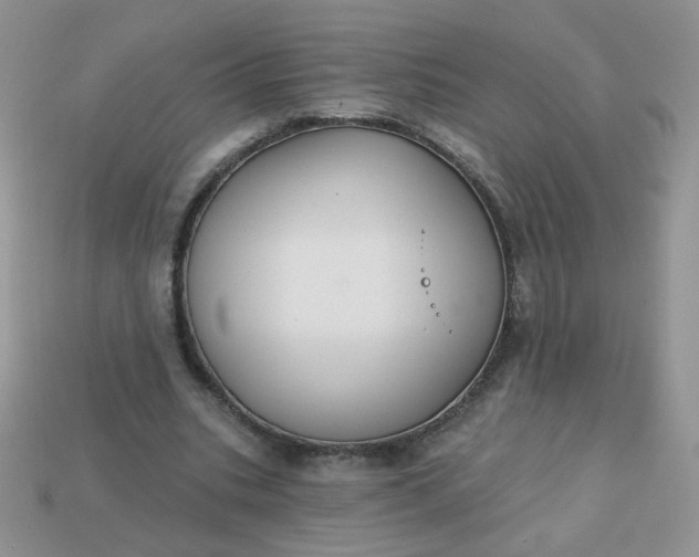 X0000113180535200909181855