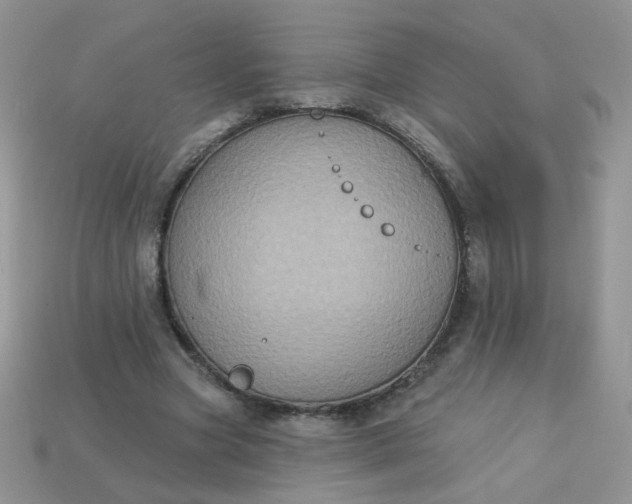 X0000113180537200909181855