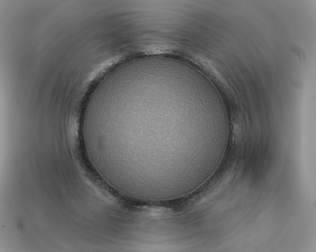 X0000113180539200909181855