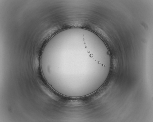 X0000113180541200909181855