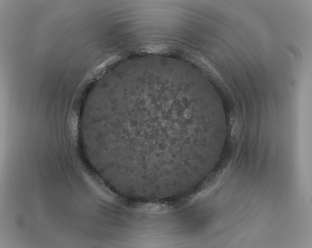 X0000113180542200909181855