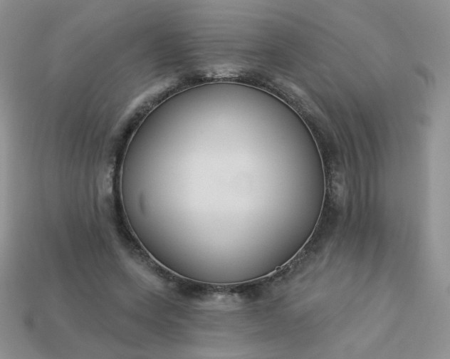 X0000113180543200909181855