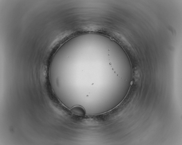 X0000113180544200909181855