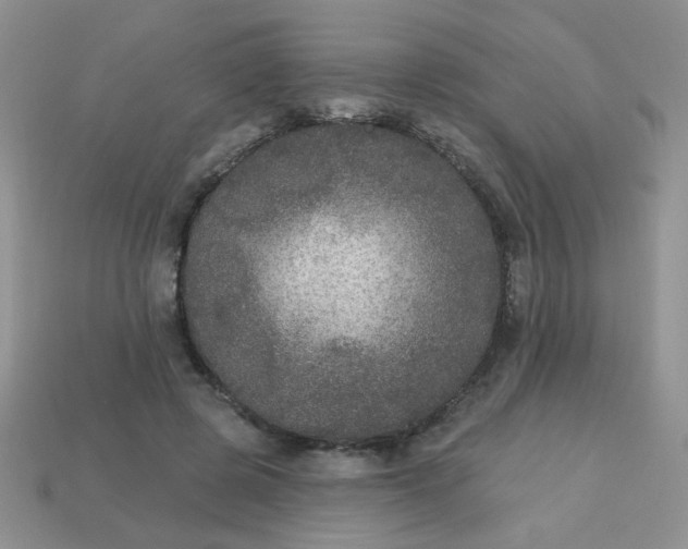 X0000113180545200909181855