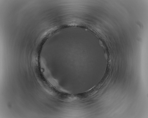 X0000113180547200909181855