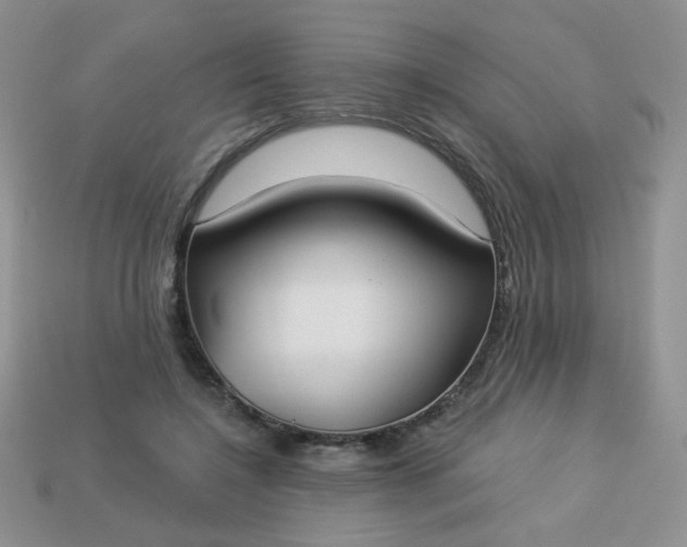 X0000113180548200909181855