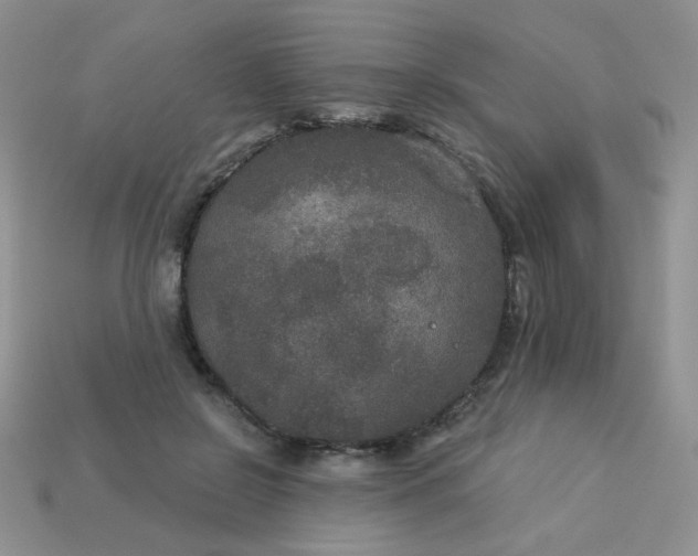 X0000113180550200909181855