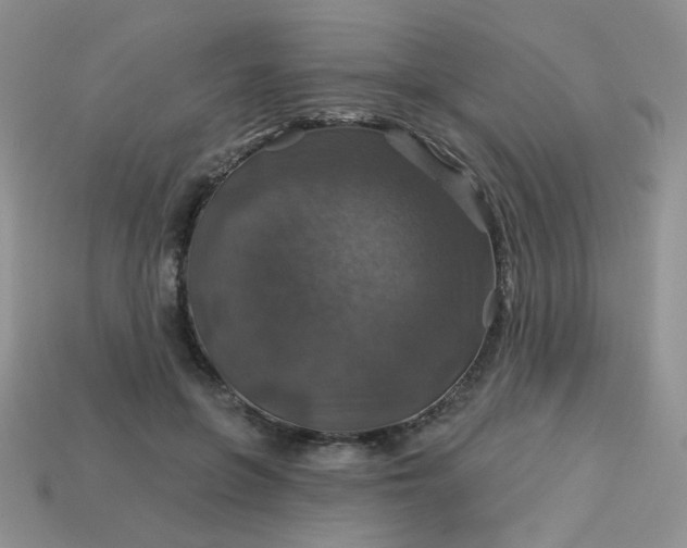 X0000113180551200909181855