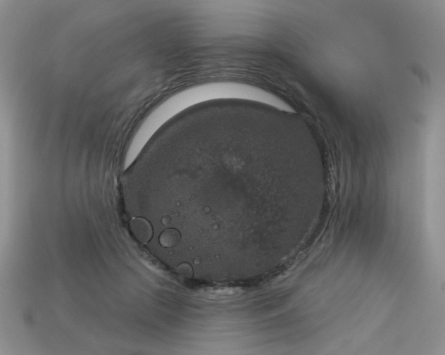 X0000113180553200909181855