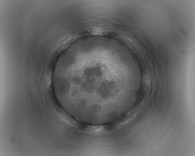 X0000113180554200909181855