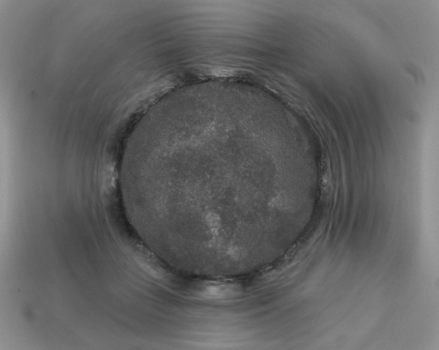 X0000113180555200909181855