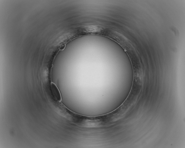 X0000113180556200909181855