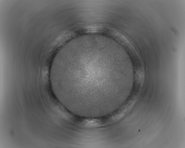 X0000113180557200909181855