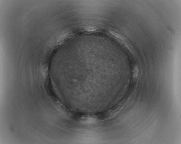 X0000113180559200909181855