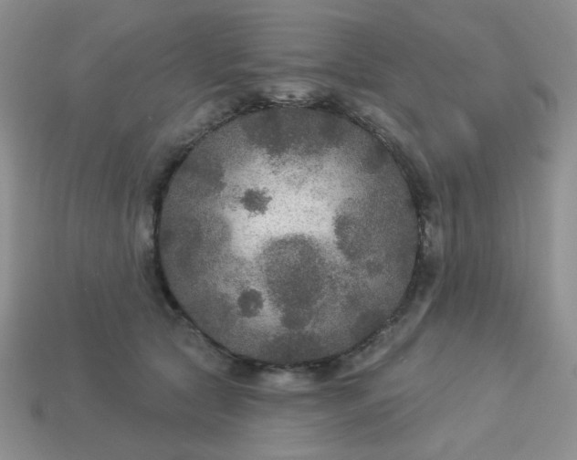 X0000113180561200909181855