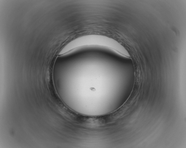 X0000113180562200909181855