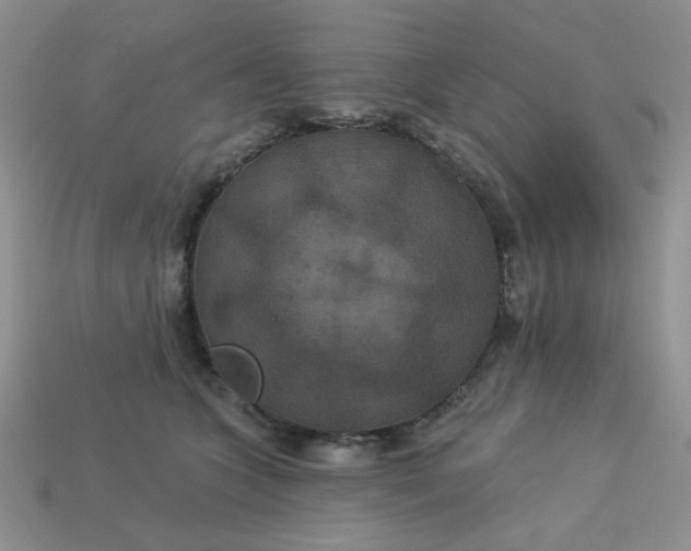 X0000113180563200909181855