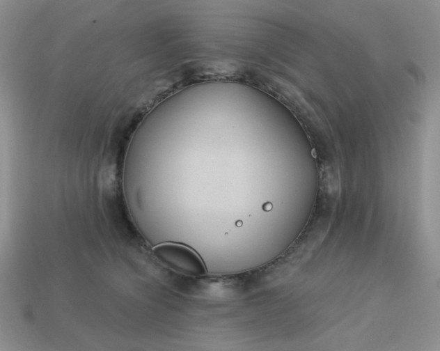 X0000113180564200909181856