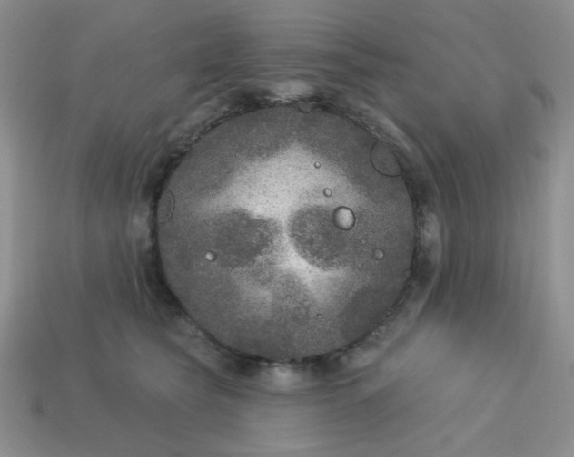 X0000113180565200909181856