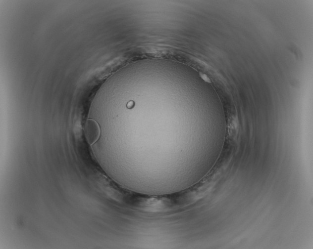 X0000113180566200909181856