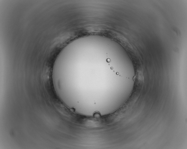 X0000113180567200909181856