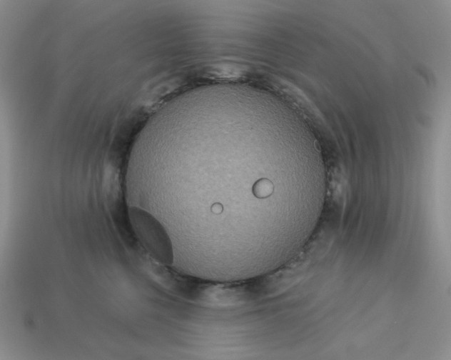 X0000113180568200909181856