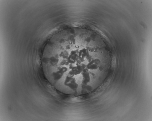 X0000113180569200909181856