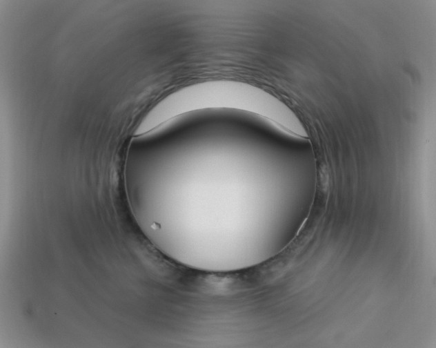 X0000113180570200909181856