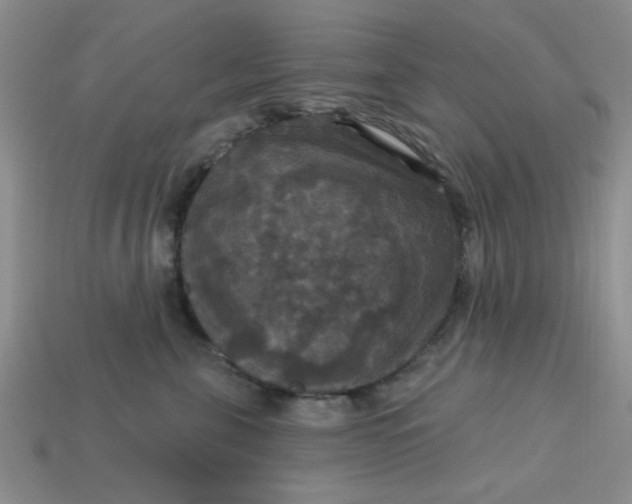 X0000113180571200909181856