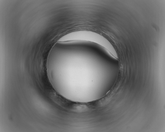 X0000113180572200909181856