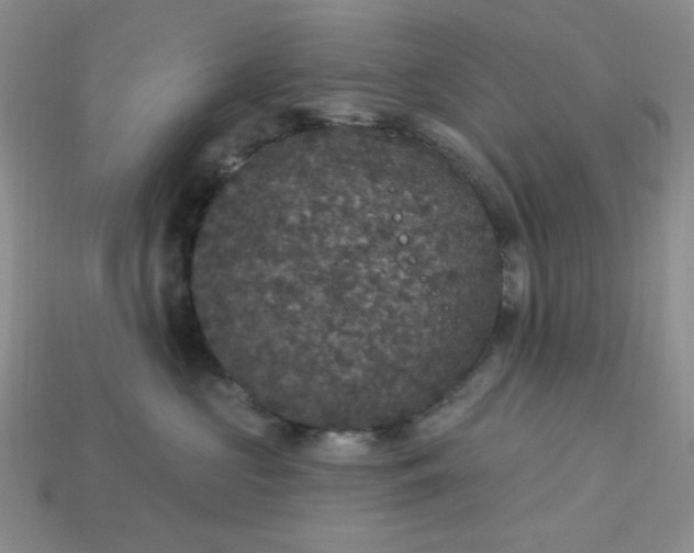 X0000113180573200909181856