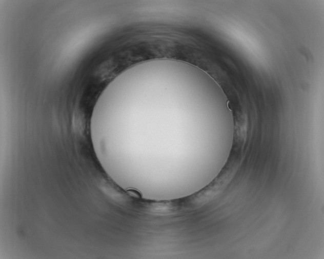 X0000113180574200909181856