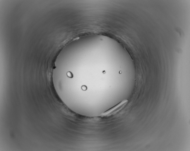 X0000113180576200909181856