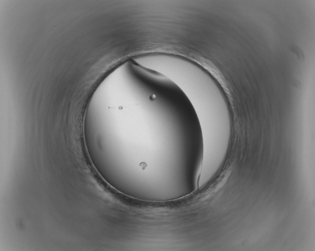 X0000113180577200909181855