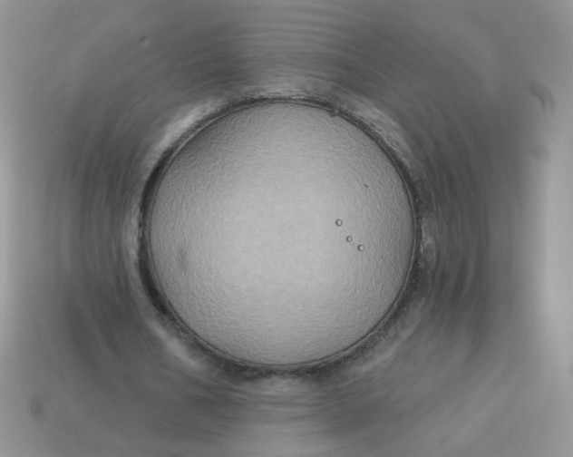 X0000113180578200909181855