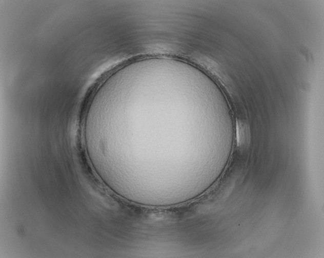 X0000113180579200909181855