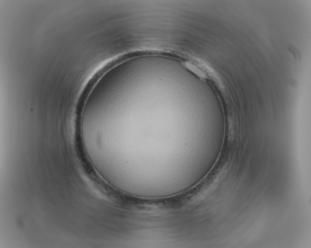 X0000113180580200909181855