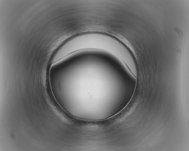 X0000113180581200909181855