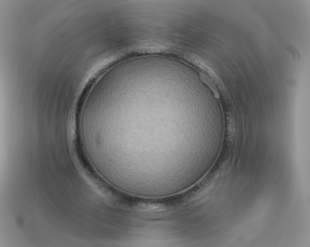 X0000113180582200909181855