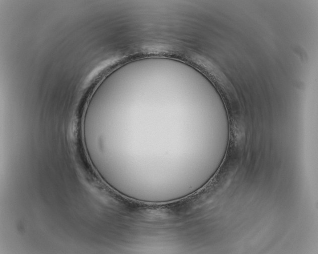 X0000113180583200909181855